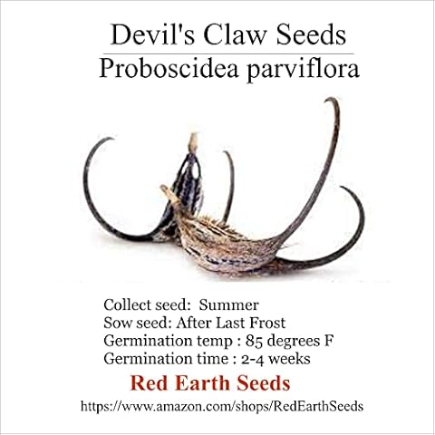 Red Earth Seeds thumbnail