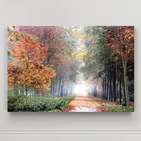 https://us.ftbpic.com/product-amz/renditions-gallery-home-wall-art-pictures-pathway-through-the-misty/51LqpyUCCNL._AC_SR480,480_.jpg