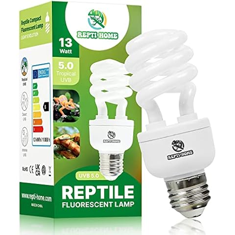 REPTI HOME thumbnail