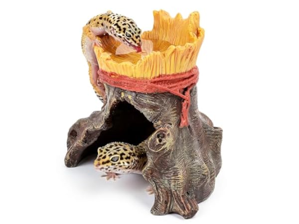 Reptile & Amphibian Habitat Hideouts Thumbnail