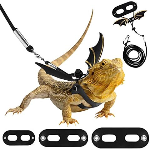 Reptile & Amphibian Harnesses