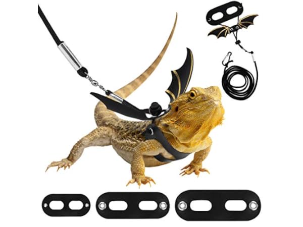 Reptile & Amphibian Harnesses thumbnail