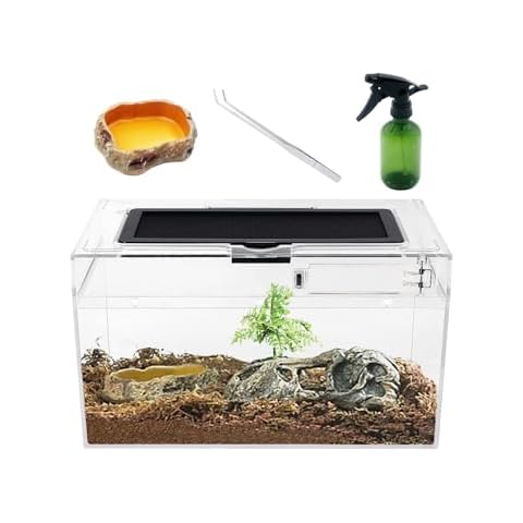 Reptile Growth thumbnail