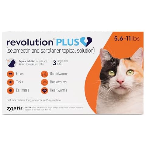 Revolution Plus thumbnail