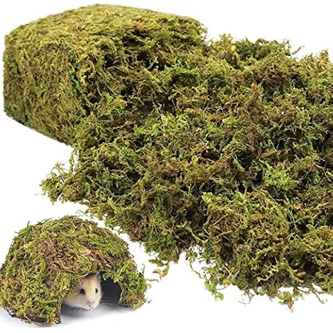 Fake Moss Artificial Moss for Potted Plants Greenery Moss(4OZ) Home Decor  Fairy Garden Crafts Wedding Decoration (Fresh Green)