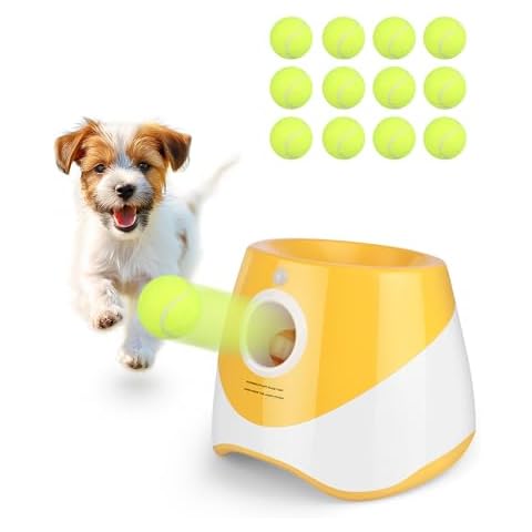 Rigshru feature image