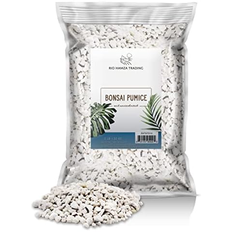 Rio Hamza Trading thumbnail