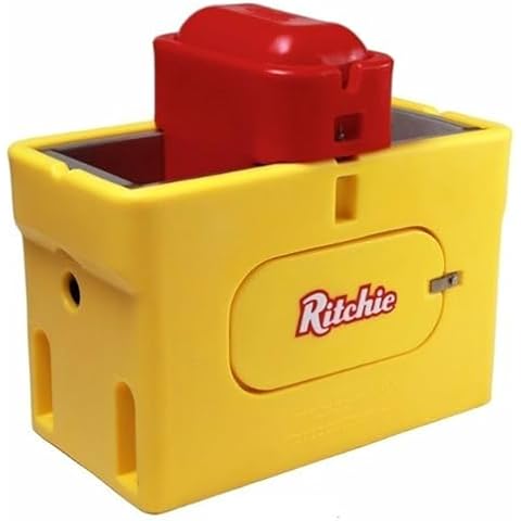 Ritchie thumbnail