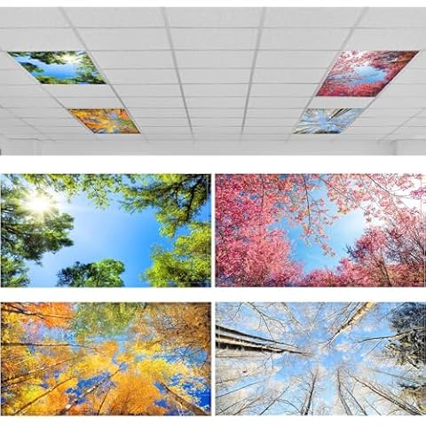 ROCEEI feature image