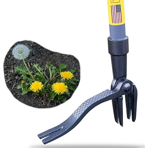 Rocklin Industry thumbnail