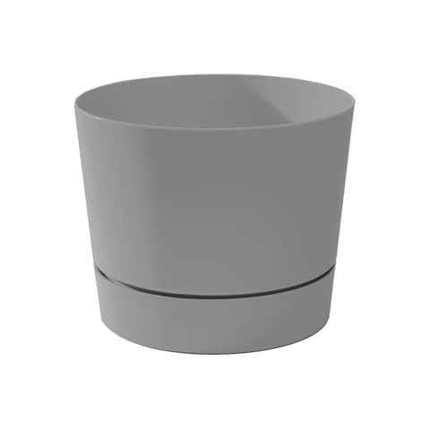 Root & Vessel thumbnail