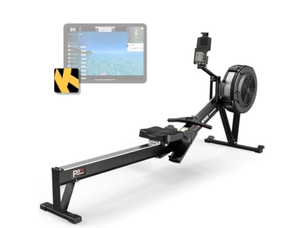 The 8 Best Rowing Machines for Commercial of 2025 (Reviews) - FindThisBest