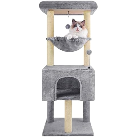 Roypet thumbnail