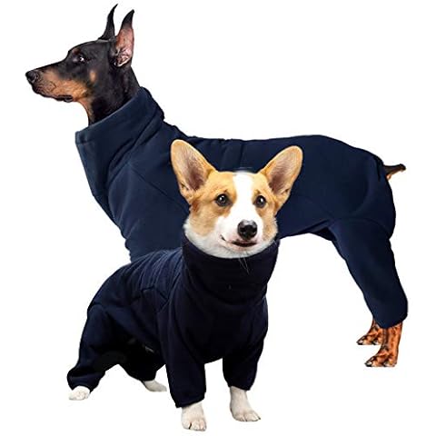 ROZKITCH thumbnail