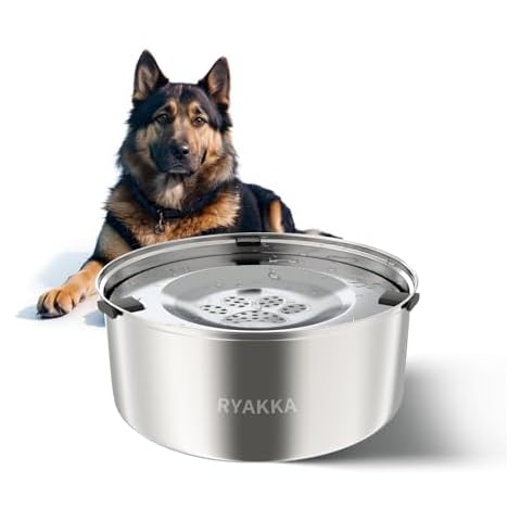 RYAKKA thumbnail