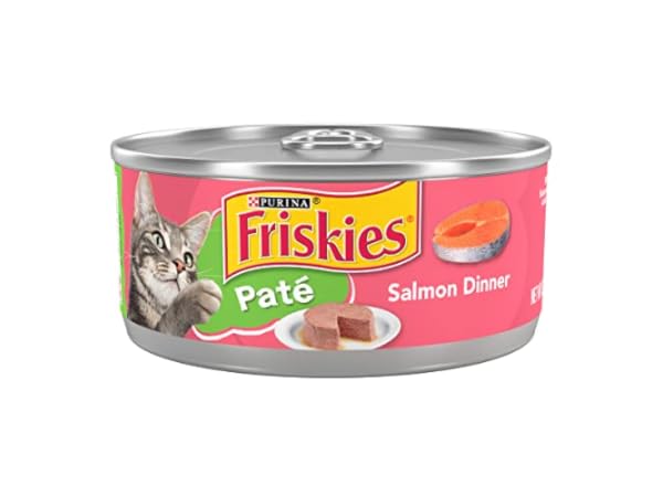 The 10 Best Salmon Canned Cat Food of 2024 (Reviews) - FindThisBest