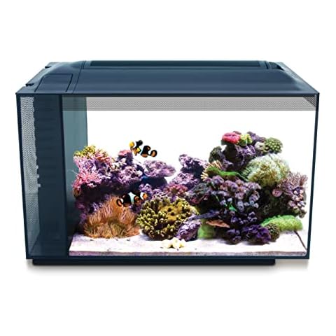 Saltwater Fish Tanks