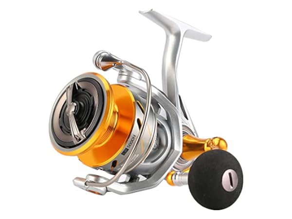 The 10 Best Saltwater Fishing Reels of 2024 (Reviews) - FindThisBest