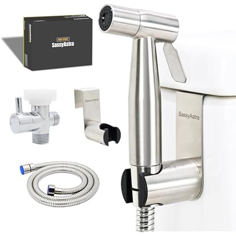 SassyAstra thumbnail