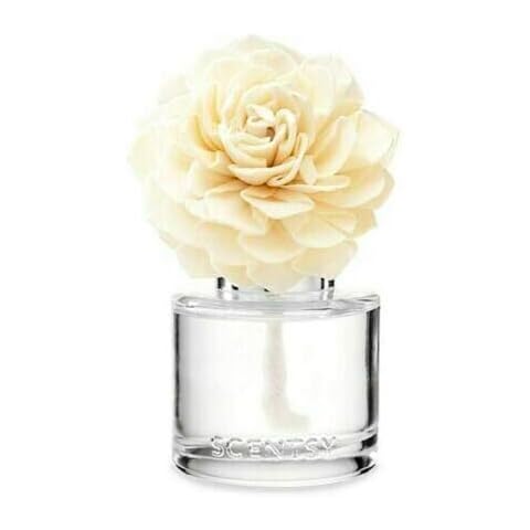 Scentsy thumbnail