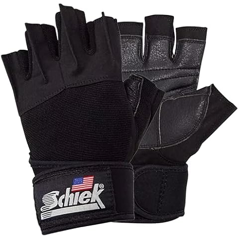 Schiek thumbnail