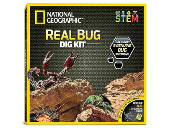 Science Education Insect Kits Thumbnail