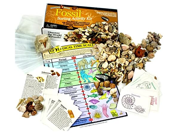 Science Fossils Thumbnail