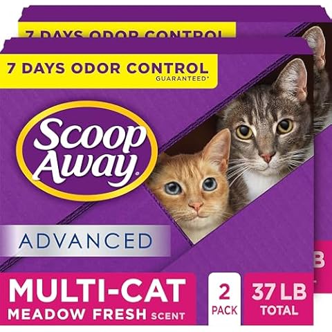 Scoop Away thumbnail