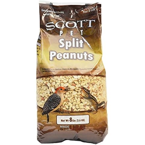 Scott Pet thumbnail