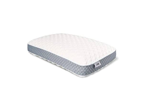 The 10 Best Sealy Bed Pillows of 2024 - FindThisBest