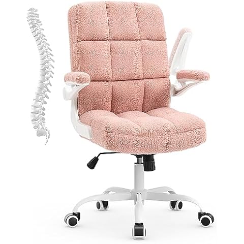 SEATZONE Modern Office Chair for Back Pain Relief, Lumbar Support