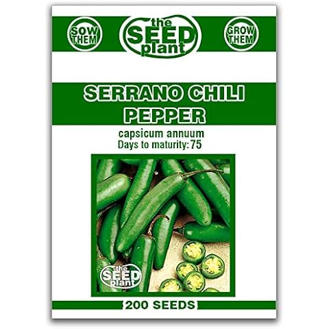 Seed And Plant thumbnail