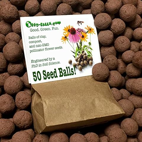 Seed-Balls.com thumbnail