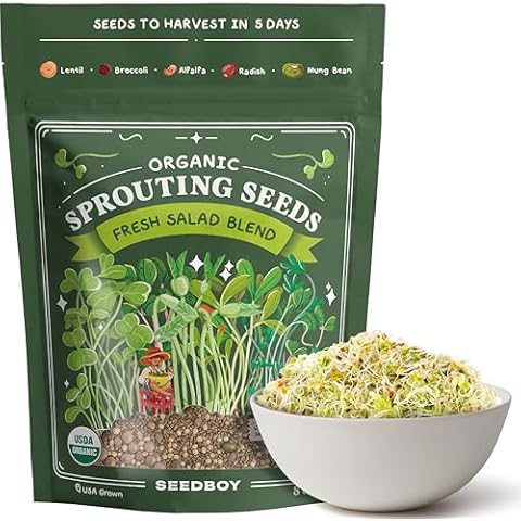 Seedboy thumbnail