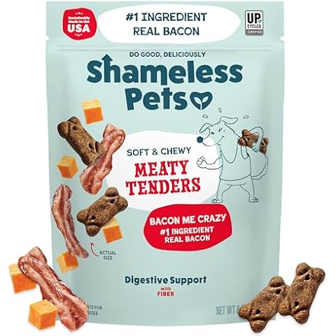 SHAMELESS PETS feature image