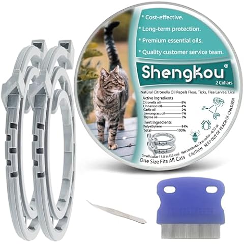 ShengKou thumbnail