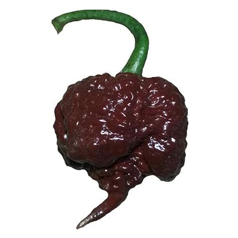 Sherwoods Seeds thumbnail