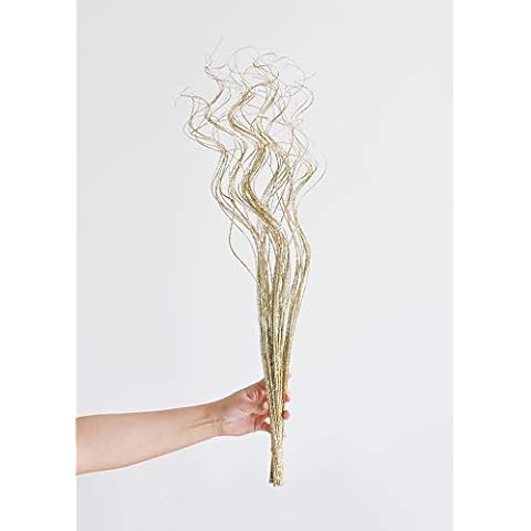 Shinoda Design Center feature image