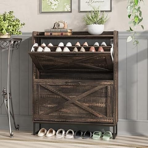 Shoe Cabinets