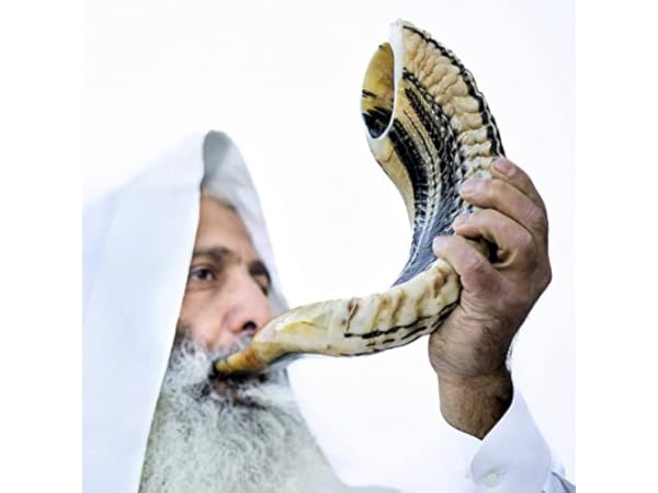 Shofars Thumbnail