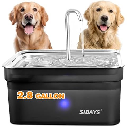 SIBAYS feature image
