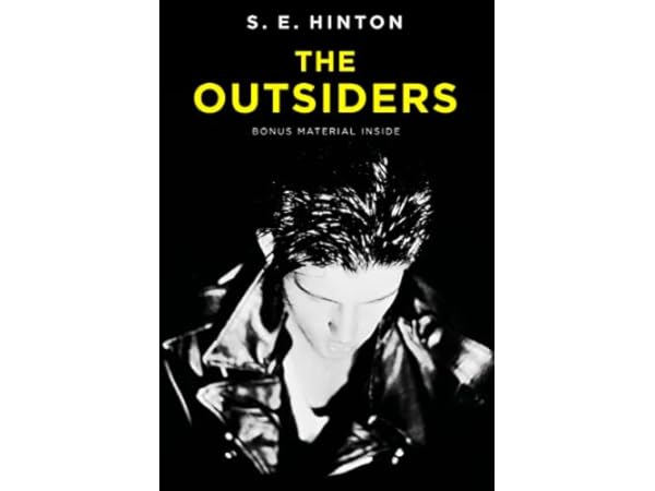 Siblings Fiction Books for Teens & Young Adults Thumbnail