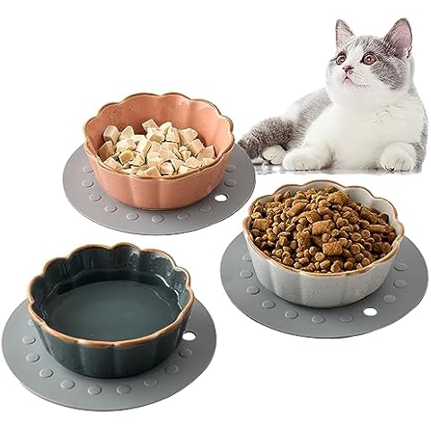 https://us.ftbpic.com/product-amz/siducal-cat-bowls-5-inches-cat-food-bowl-with-silicone/517U2zN28uL._AC_SR480,480_.jpg