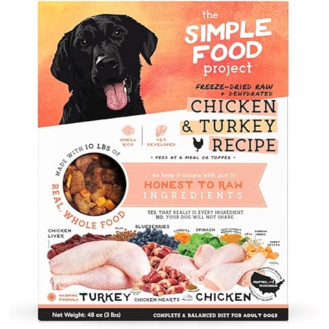 Simple Food Project feature image