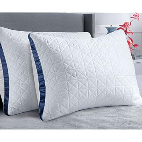 The 10 Best Luxury Bed Pillows of 2024 (Reviews) - FindThisBest