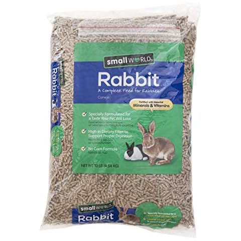 Small World feature image