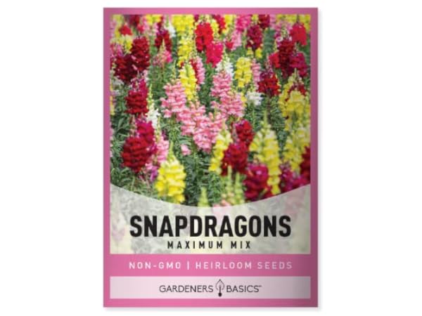 The 10 Best Snapdragon Flower Seeds of 2024 (Reviews) - FindThisBest