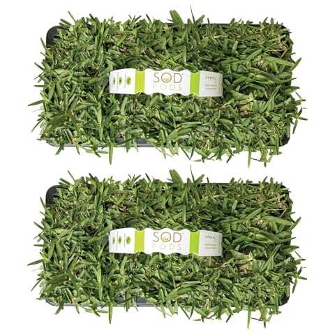 SOD PODS thumbnail