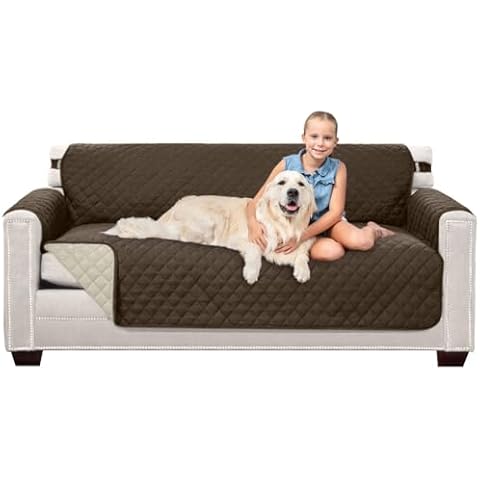 Sofa Shield thumbnail