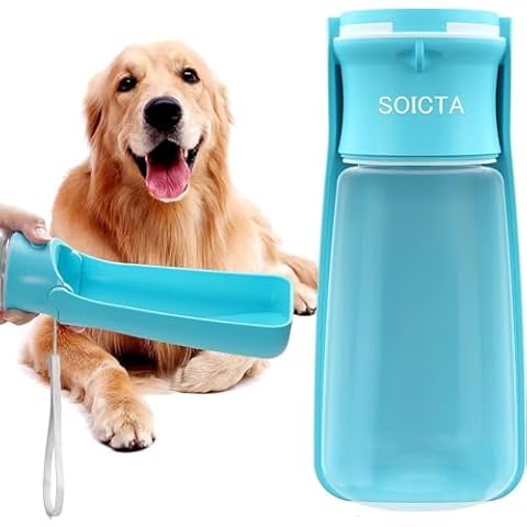 SOICTA thumbnail